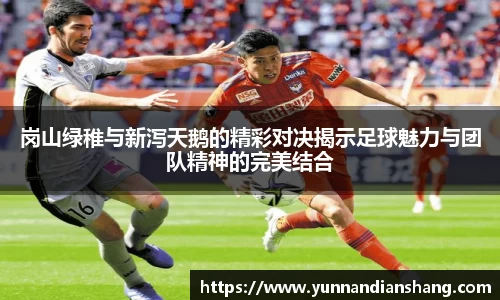 岗山绿稚与新泻天鹅的精彩对决揭示足球魅力与团队精神的完美结合